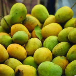 ২০ কেজি ২৬০০ টাকা